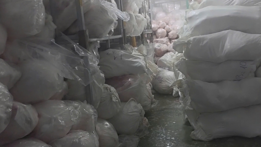 Phát hiện hàng nghìn con lợn đông lạnh không rõ nguồn gốc ở Gia Lai